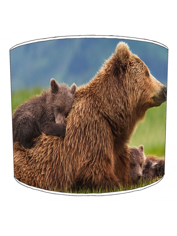 grizzly bear 6
