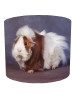 guinea pig lampshade 10