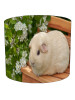 guinea pig lampshade 2