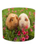 guinea pig lampshade 9