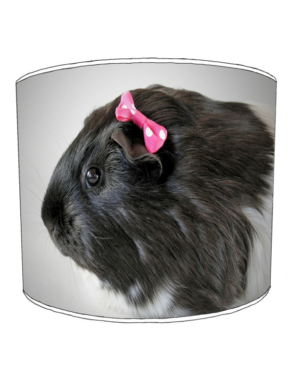 guinea pig lampshade 8 guinea pig lampshade 8