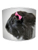guinea pig lampshade 8 guinea pig lampshade 8