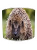hedgehog lampshade 2