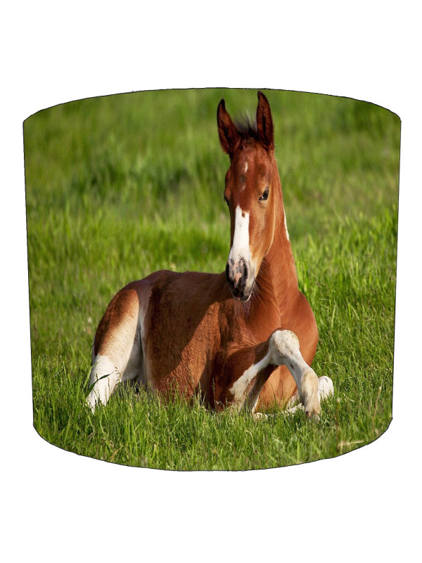 Horse Foal Lampshade Horse Foal Lampshade