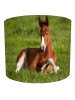 Horse Foal Lampshade Horse Foal Lampshade