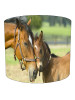 Horse and Foal Embrace Lampshade