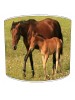 horse and foal lampshade