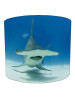 Hammerhead Shark Lampshade