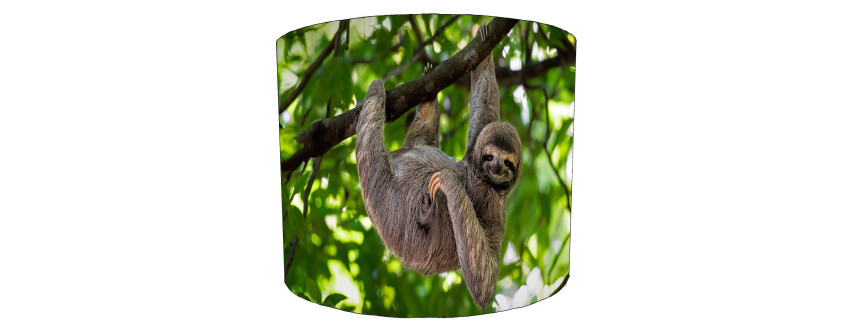 Sloth