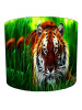 Cool Tiger Lampshade Cool Tiger Lampshade