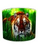 cool tiger lampshade