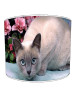 cat lampshade 11