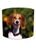 beagle dog print lampshade 11