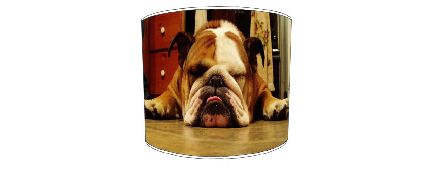 British Bulldog