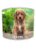 cockapoo lampshade 11