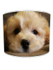 cockapoo lampshade 8