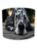 irish red setter lampshade 1