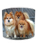 pomeranian lampshade 2