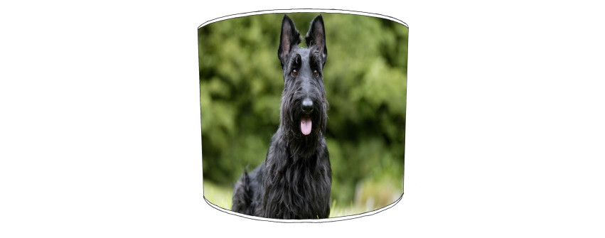 Scottie Dog