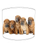 shar pei lampshade 3