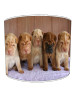 shar pei lampshade 7