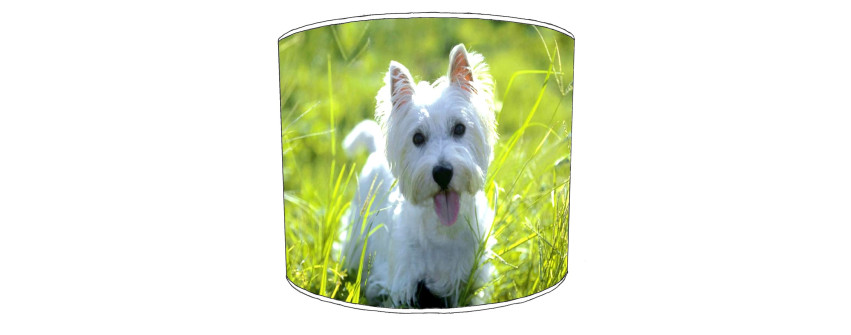 Westland Highland Terrier