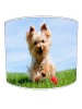yorkshire terrier lampshade 1