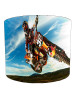 motocross lampshade 1