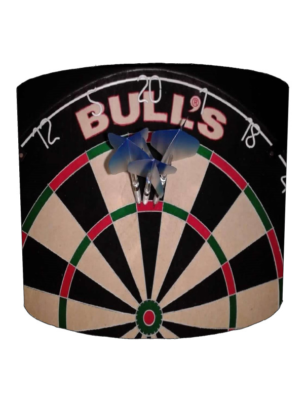 Darts Board 180 Close Up Lampshade Darts Board 180 Close Up Lampshade