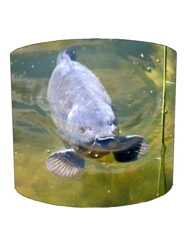 Carp Fishing Lampshade Carp Fishing Lampshade