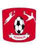 Personalised Red Football Lampshade