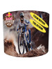 Mountain Biking Lampshade 8