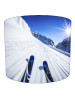 skiing snowboarding lampshade 20