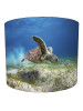 Turtle Take Off Lampshade Turtle Take Off Lampshade