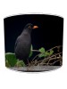 blackbird lampshade 10