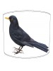 blackbird lampshade 9