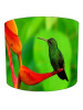 hummingbird lampshade 11