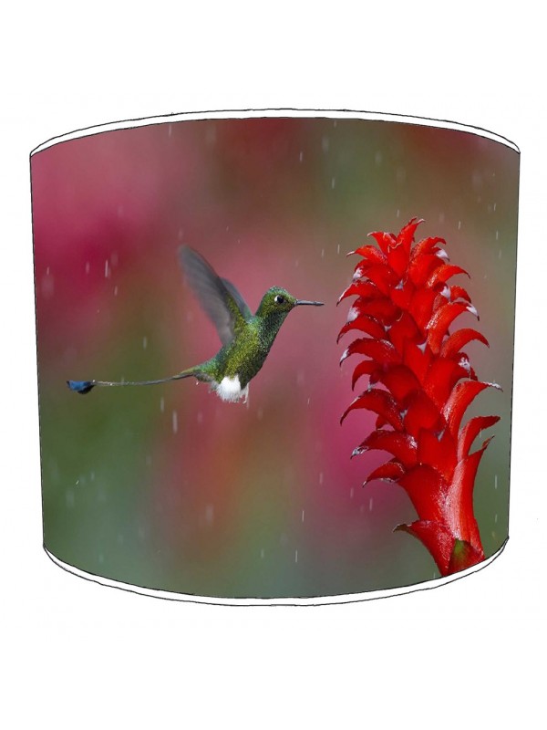 hummingbird lampshade 6