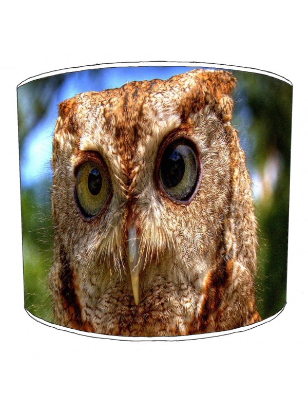owls lampshade 19