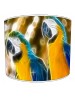 parrot bird lampshade 17