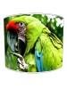 parrot bird lampshade 18