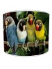 parrot bird lampshade 6