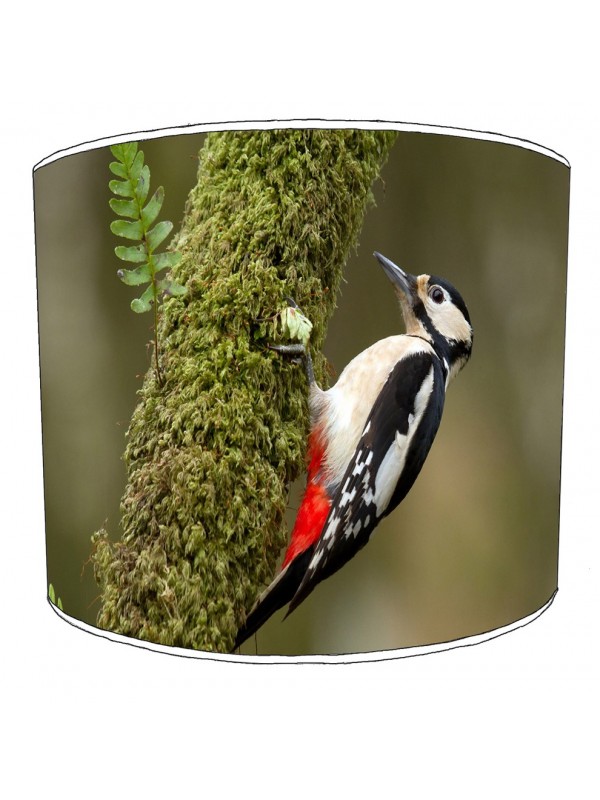 woody woodpecker lampshade 12