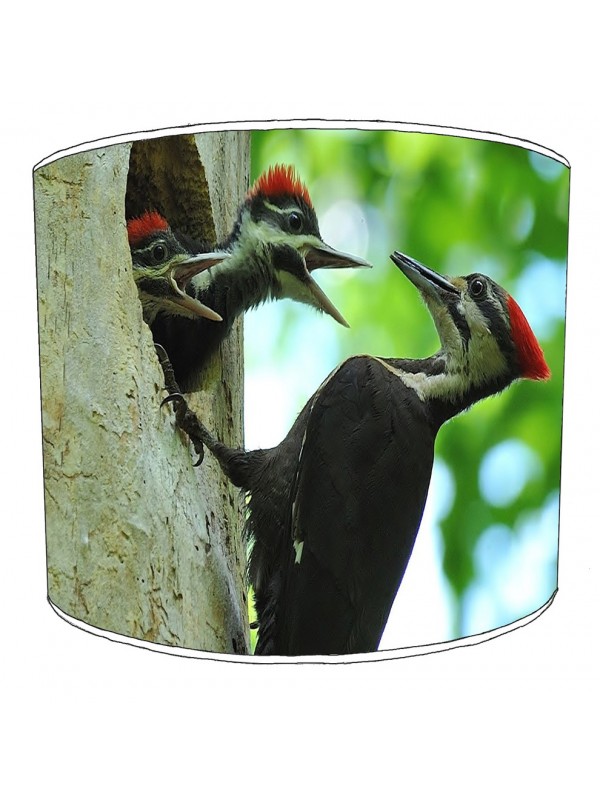 woody woodpecker lampshade 2