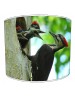 woody woodpecker lampshade 2