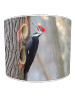 woody woodpecker lampshade 7