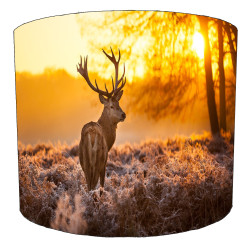 Deer / Stag