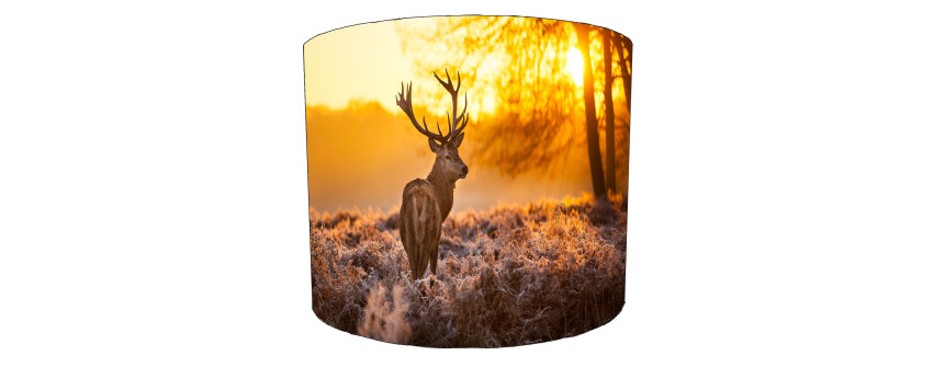 Deer / Stag