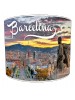 city of barcelona lampshade 8