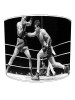 raging bull boxing lampshade 1
